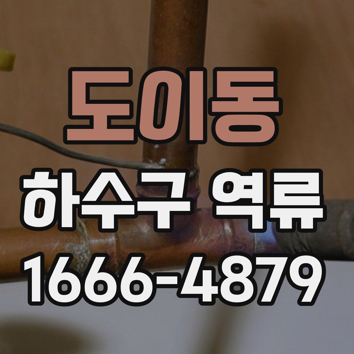 도이동 하수구 역류