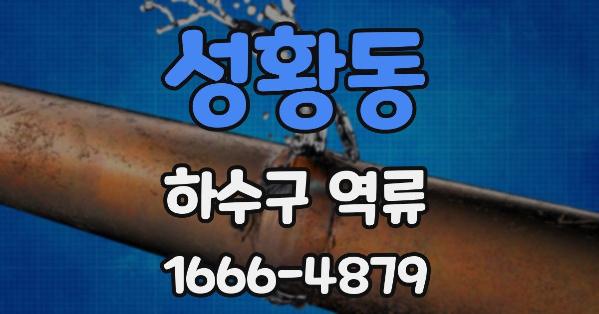 성황동 하수구 역류