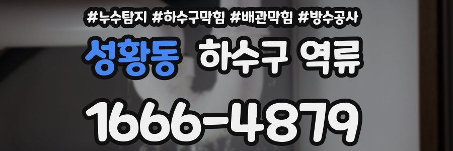 성황동 하수구 역류