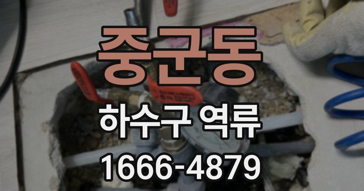 중군동 하수구 역류