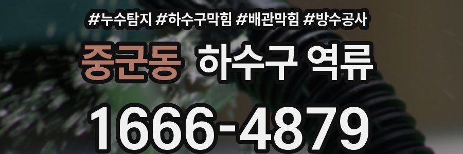 중군동 하수구 역류