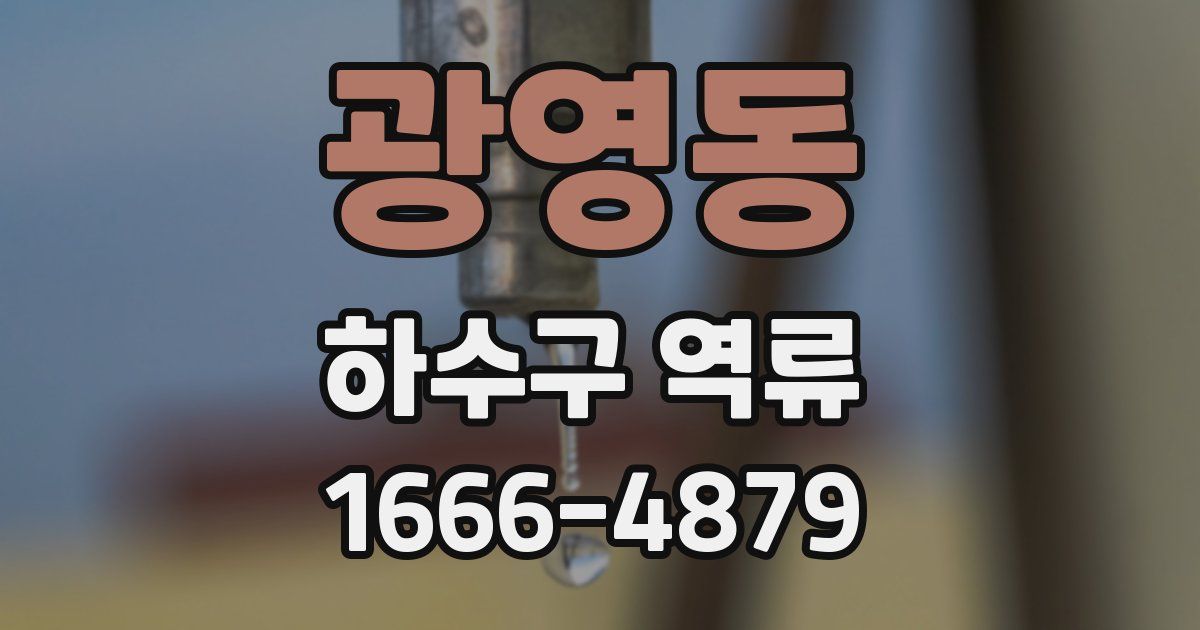 광영동 하수구 역류