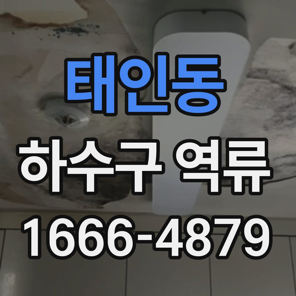 태인동 하수구 역류