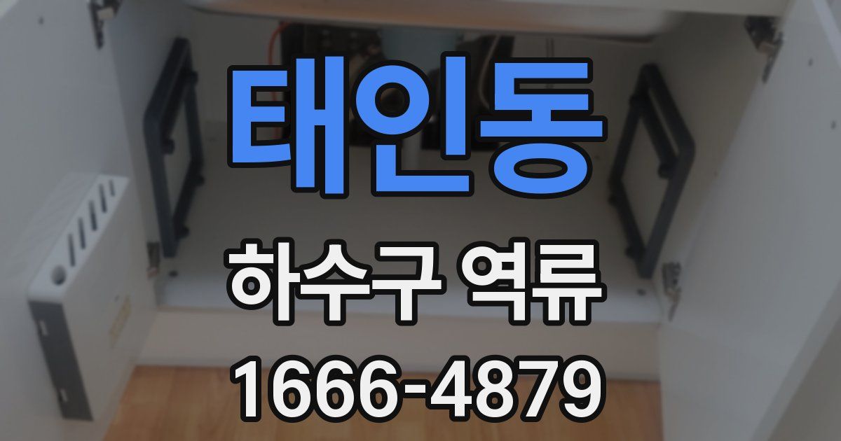태인동 하수구 역류