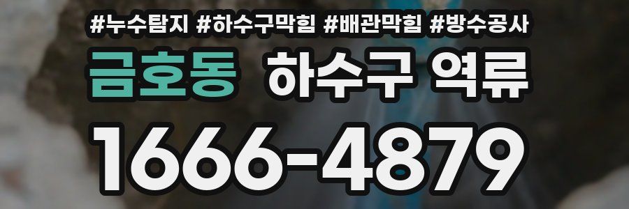 금호동 하수구 역류