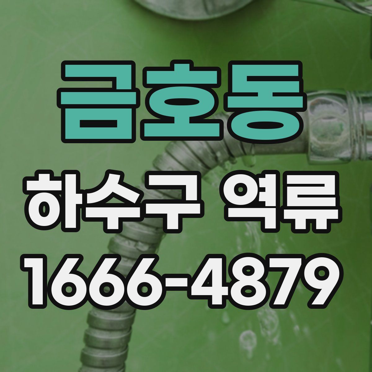 금호동 하수구 역류