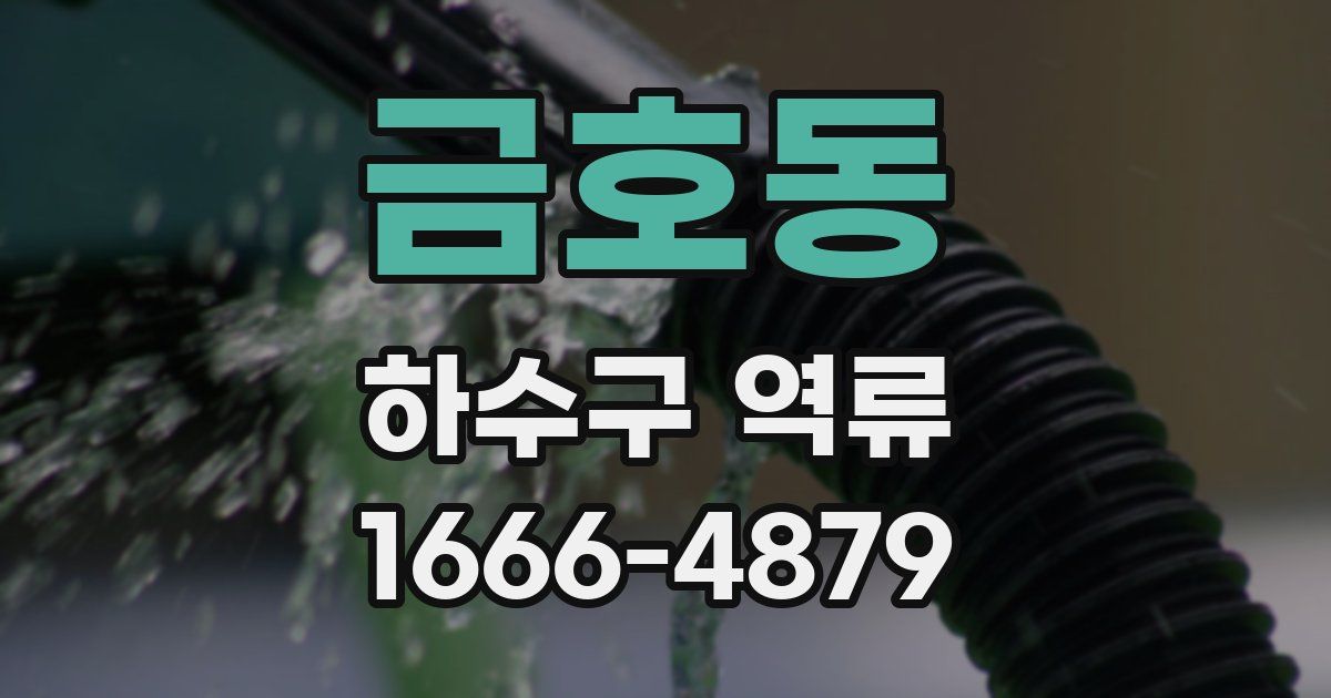 금호동 하수구 역류