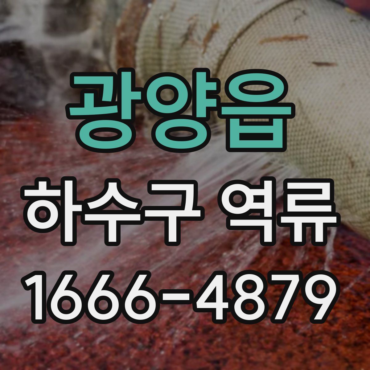 광양읍 하수구 역류
