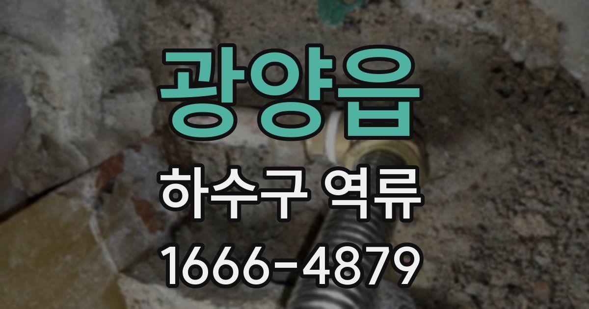 광양읍 하수구 역류