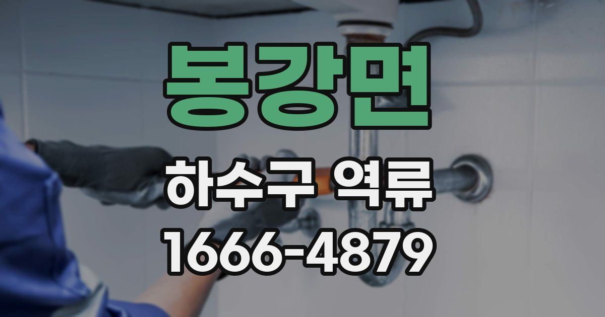봉강면 하수구 역류
