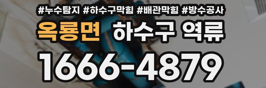 옥룡면 하수구 역류