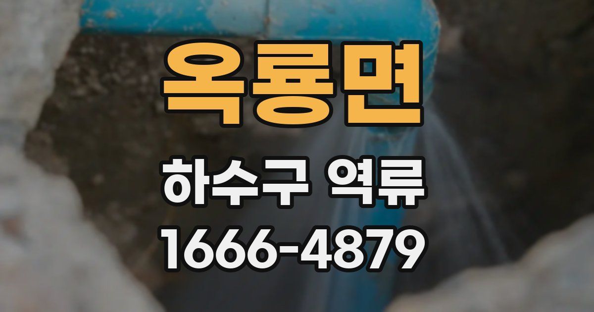옥룡면 하수구 역류