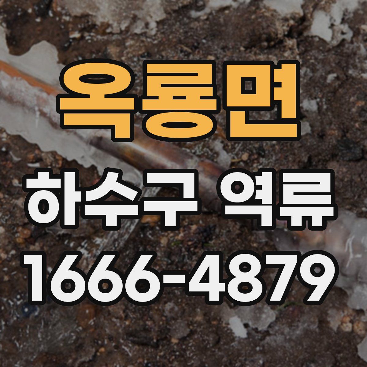 옥룡면 하수구 역류