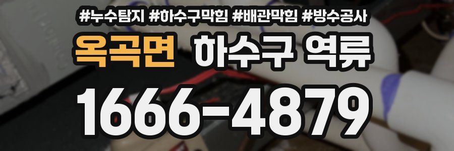 옥곡면 하수구 역류