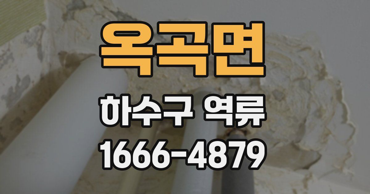 옥곡면 하수구 역류