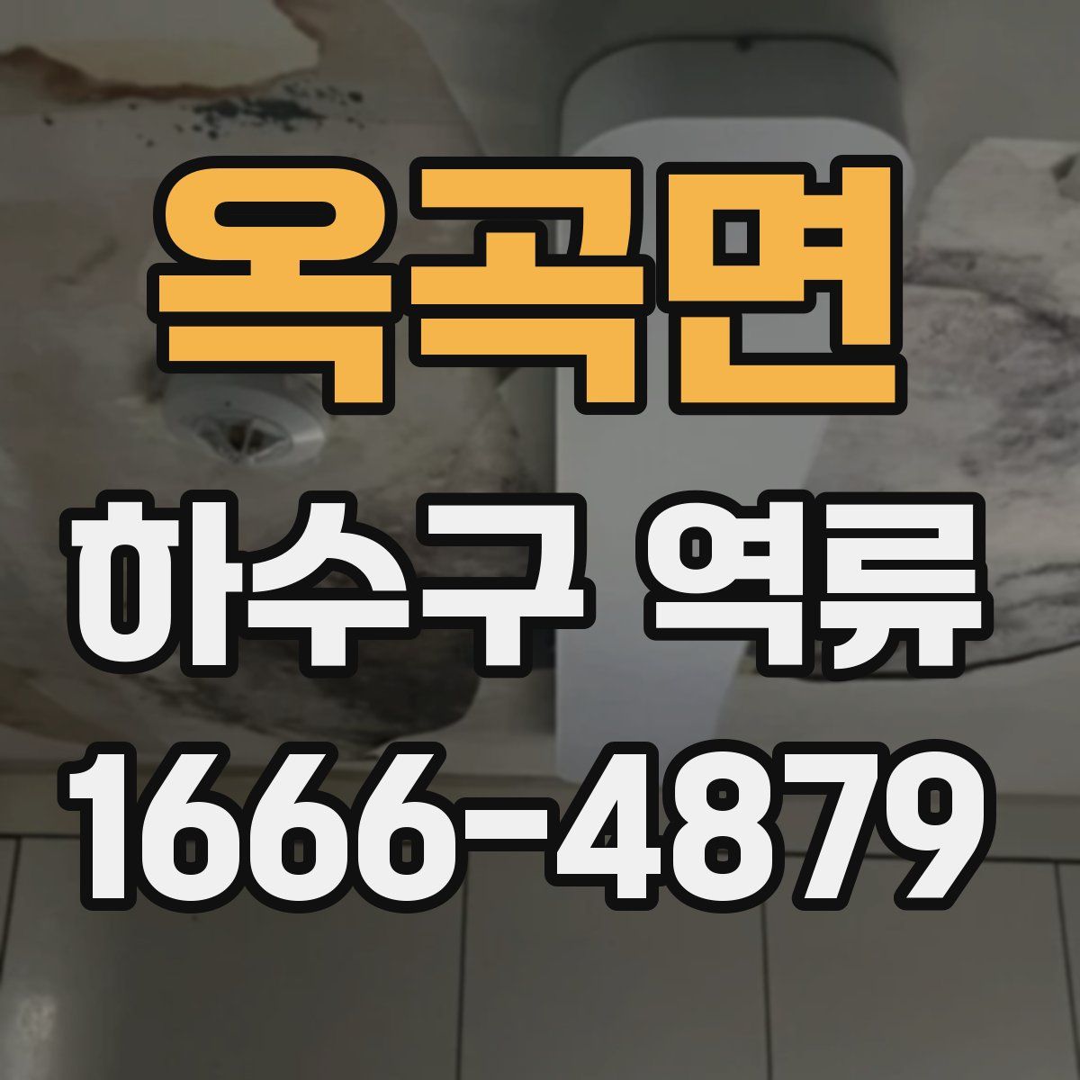 옥곡면 하수구 역류
