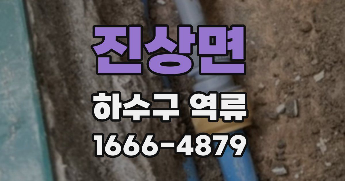진상면 하수구 역류