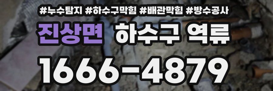 진상면 하수구 역류