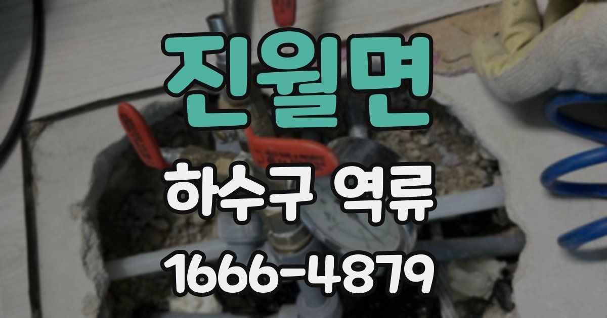 진월면 하수구 역류