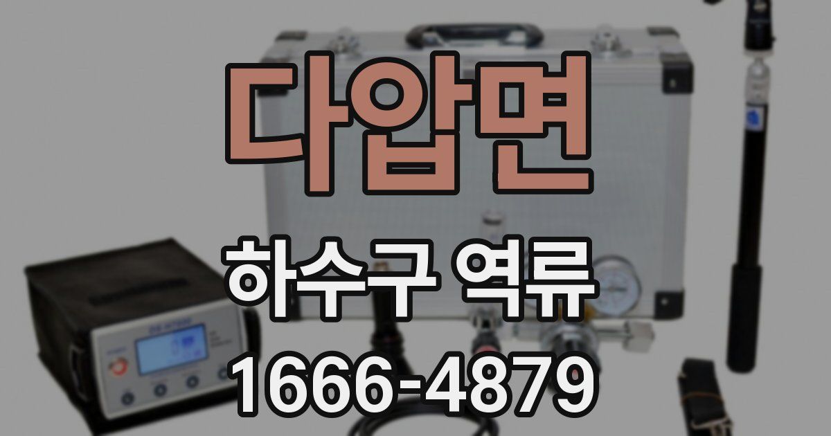 다압면 하수구 역류