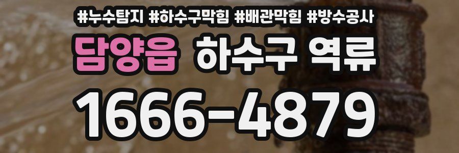 담양읍 하수구 역류