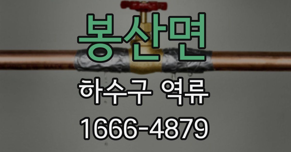 봉산면 하수구 역류
