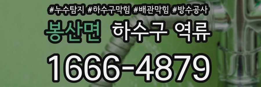 봉산면 하수구 역류