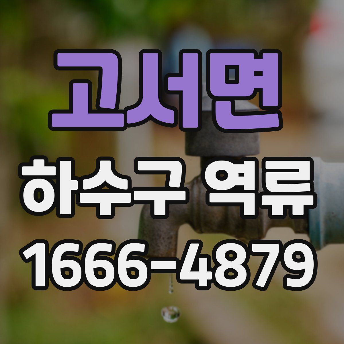 고서면 하수구 역류