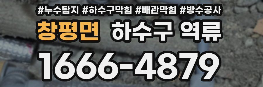 창평면 하수구 역류