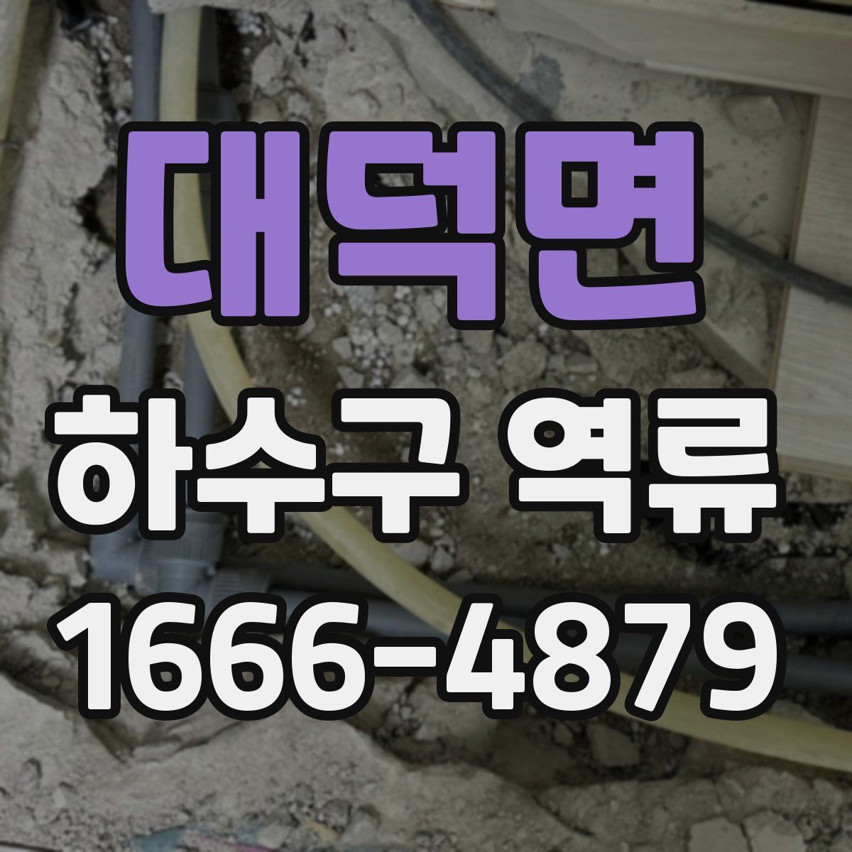 대덕면 하수구 역류