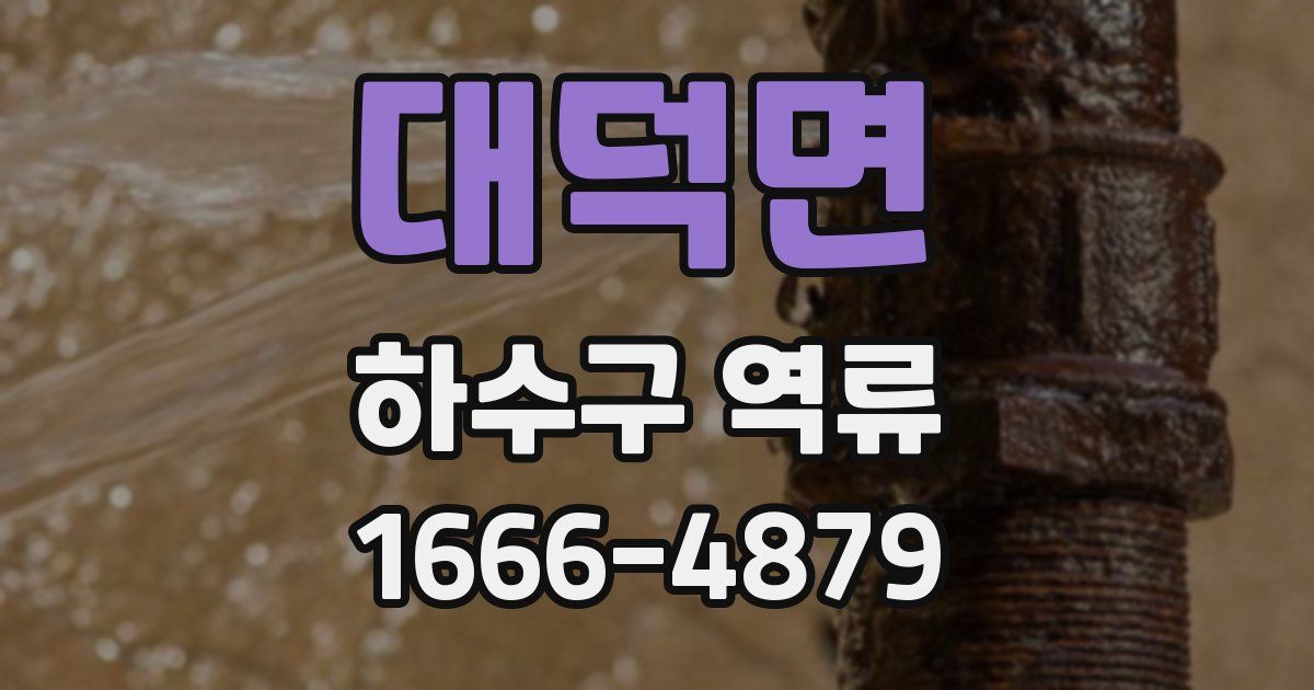 대덕면 하수구 역류