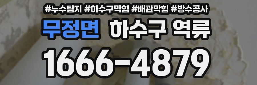 무정면 하수구 역류