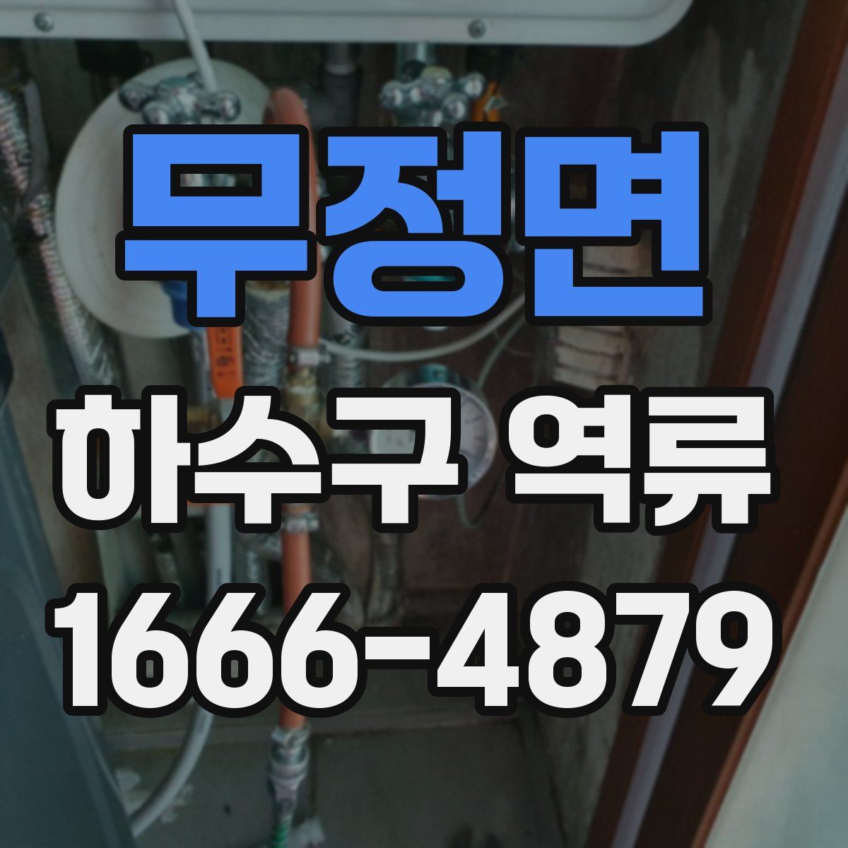 무정면 하수구 역류