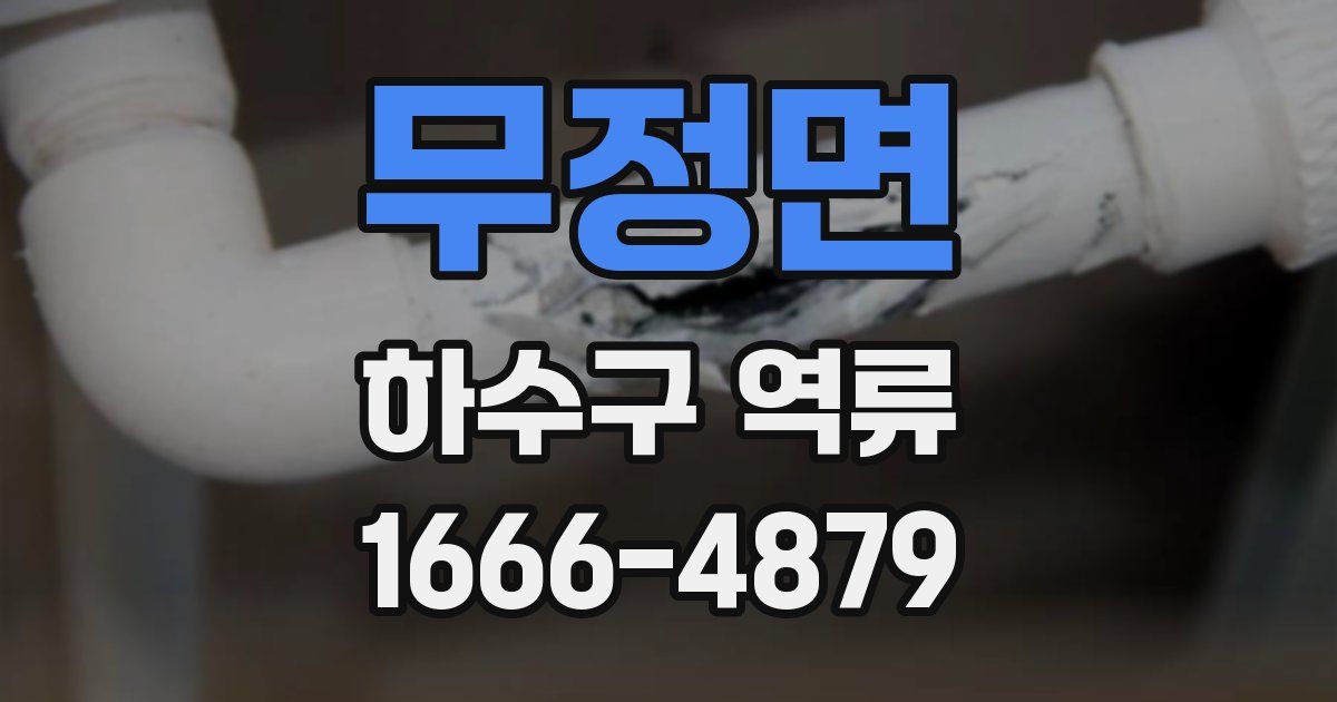 무정면 하수구 역류