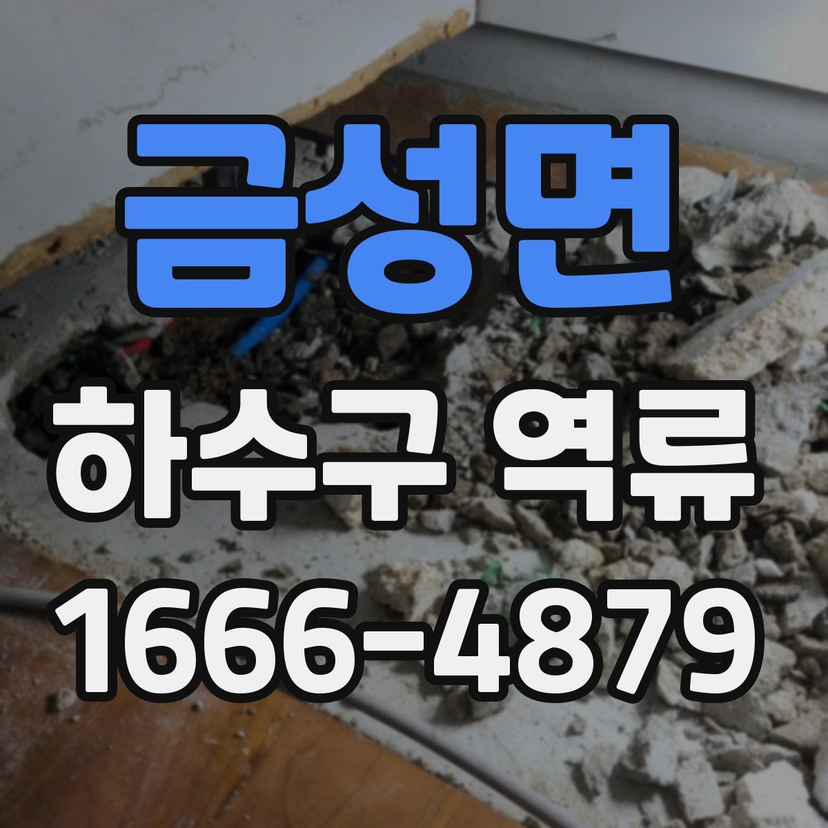 금성면 하수구 역류