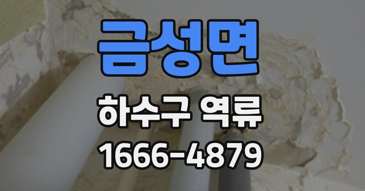 금성면 하수구 역류