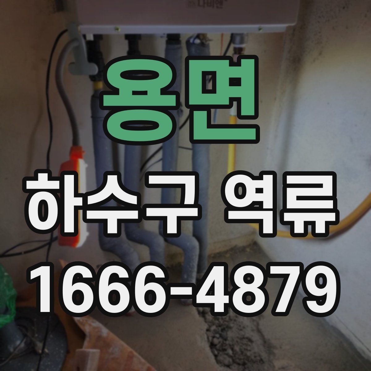 용면 하수구 역류