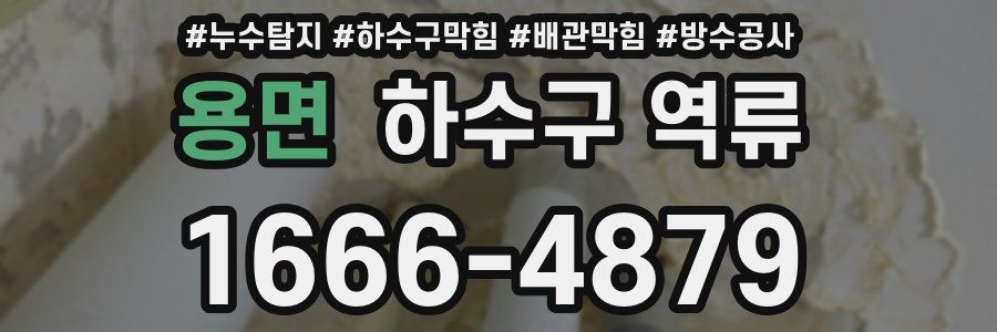 용면 하수구 역류