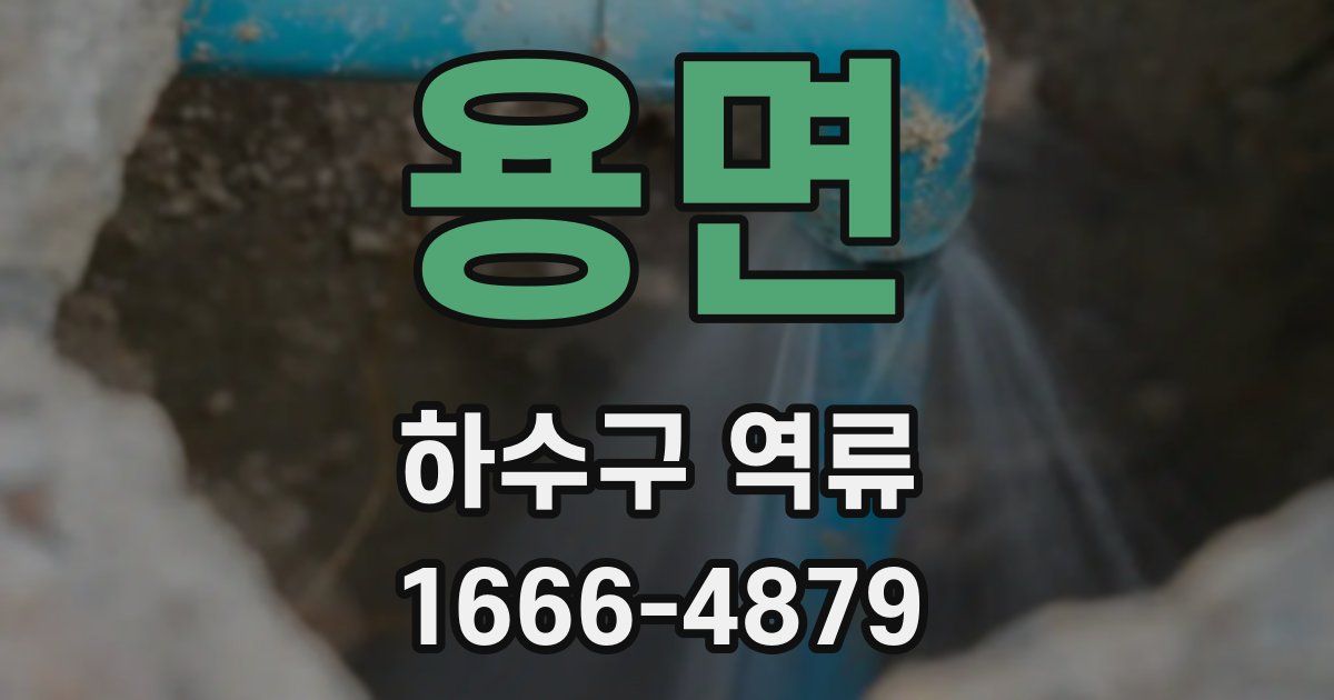 용면 하수구 역류