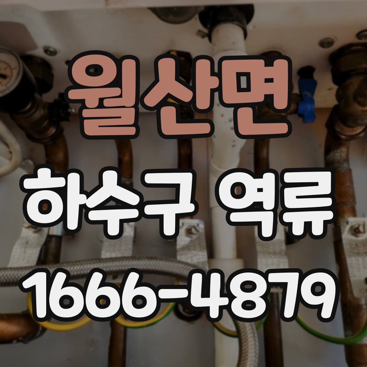 월산면 하수구 역류