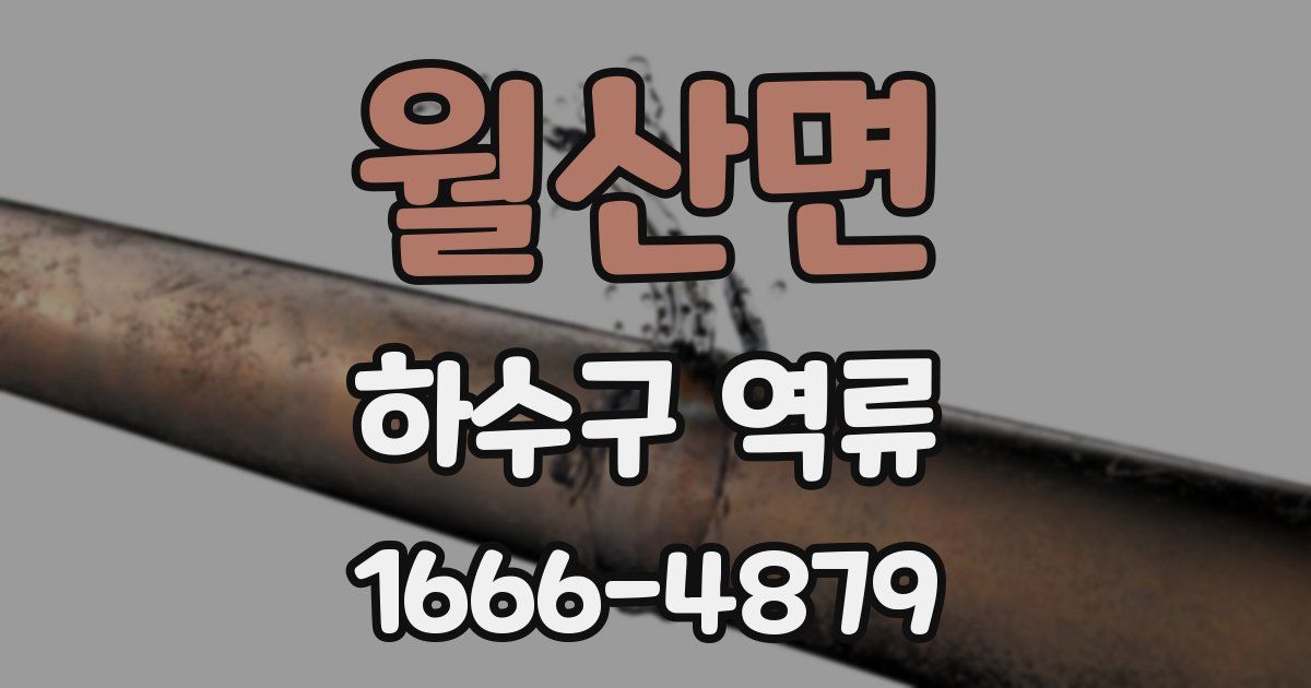 월산면 하수구 역류