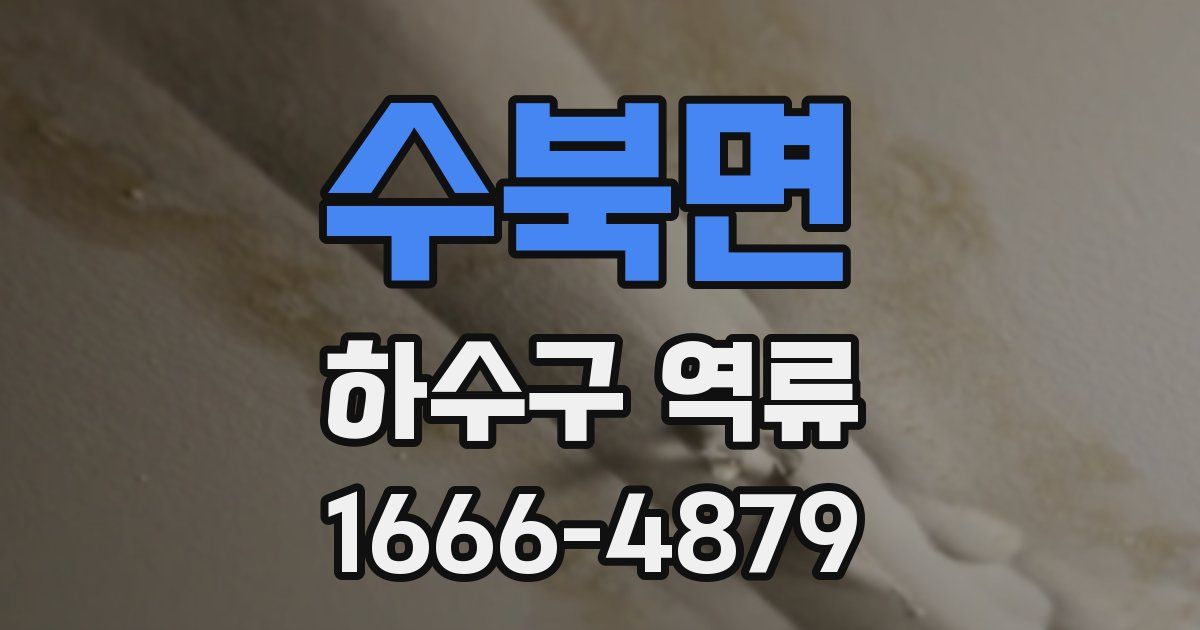 수북면 하수구 역류