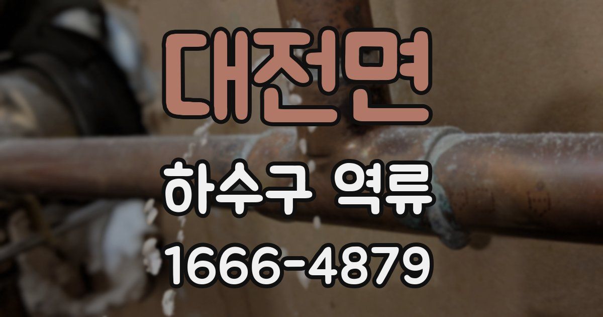대전면 하수구 역류