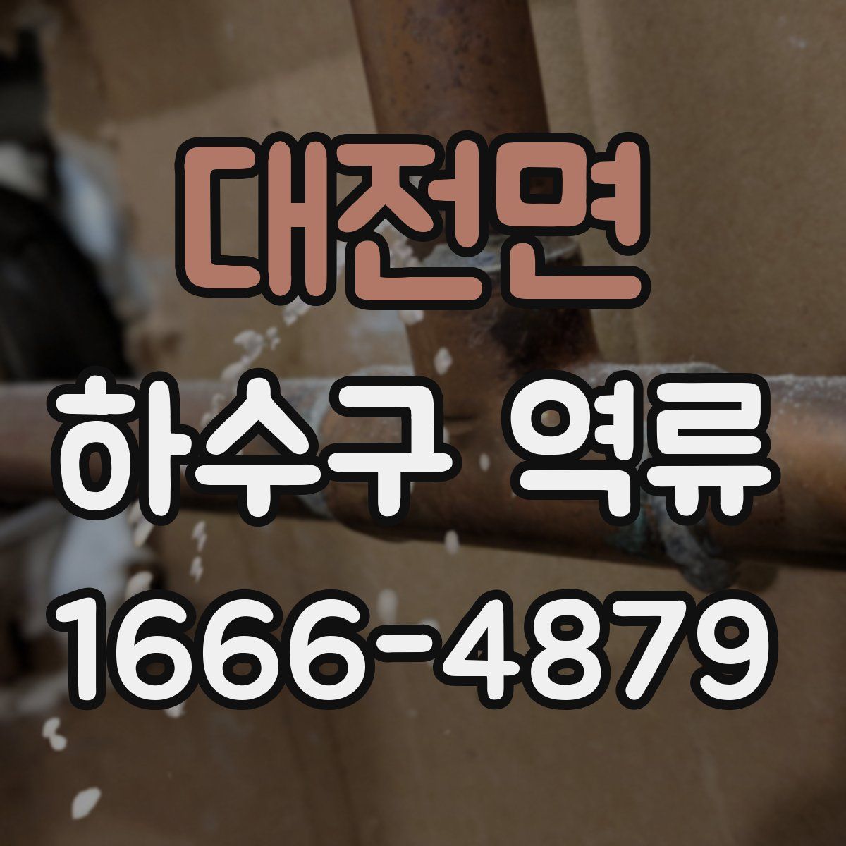 대전면 하수구 역류