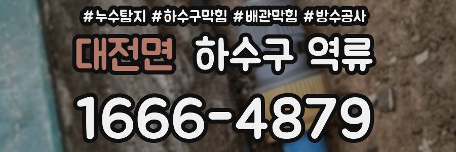 대전면 하수구 역류