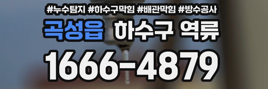 곡성읍 하수구 역류