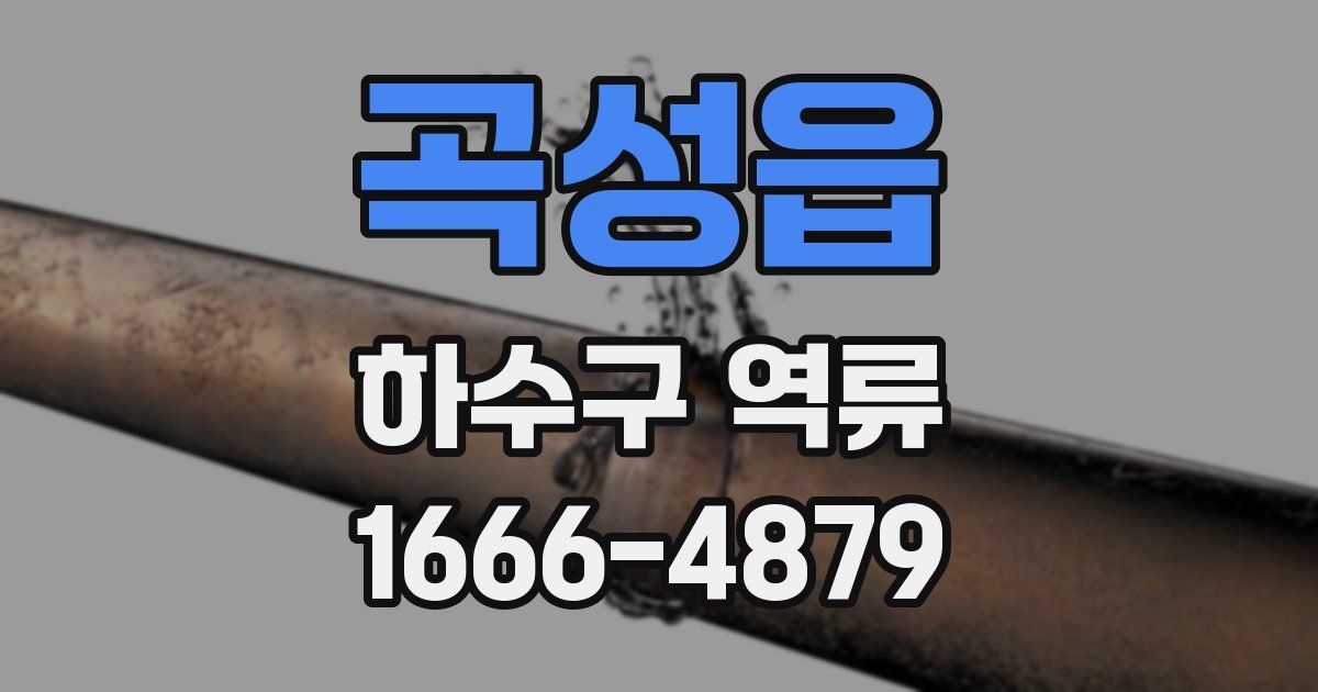 곡성읍 하수구 역류