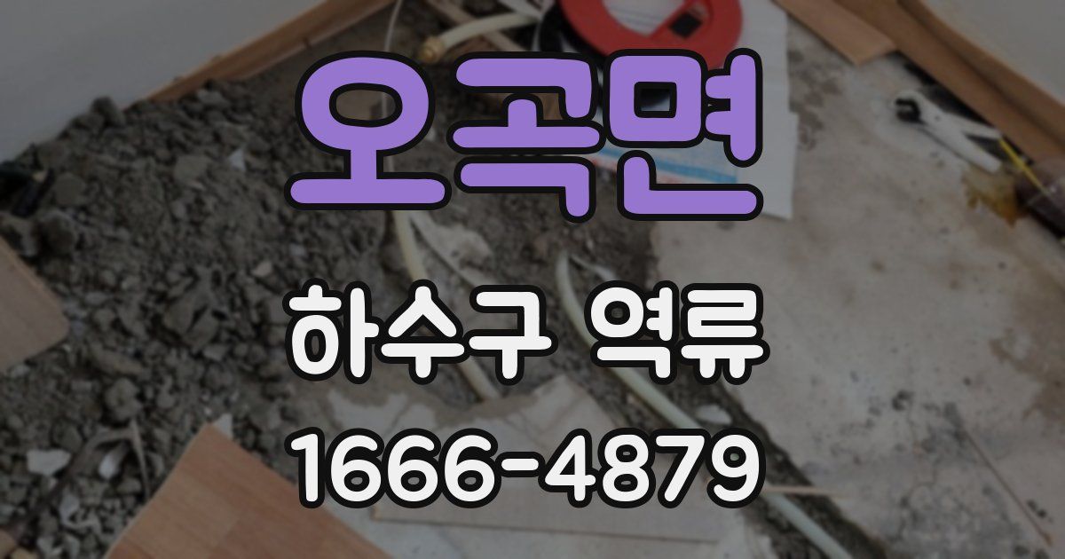 오곡면 하수구 역류