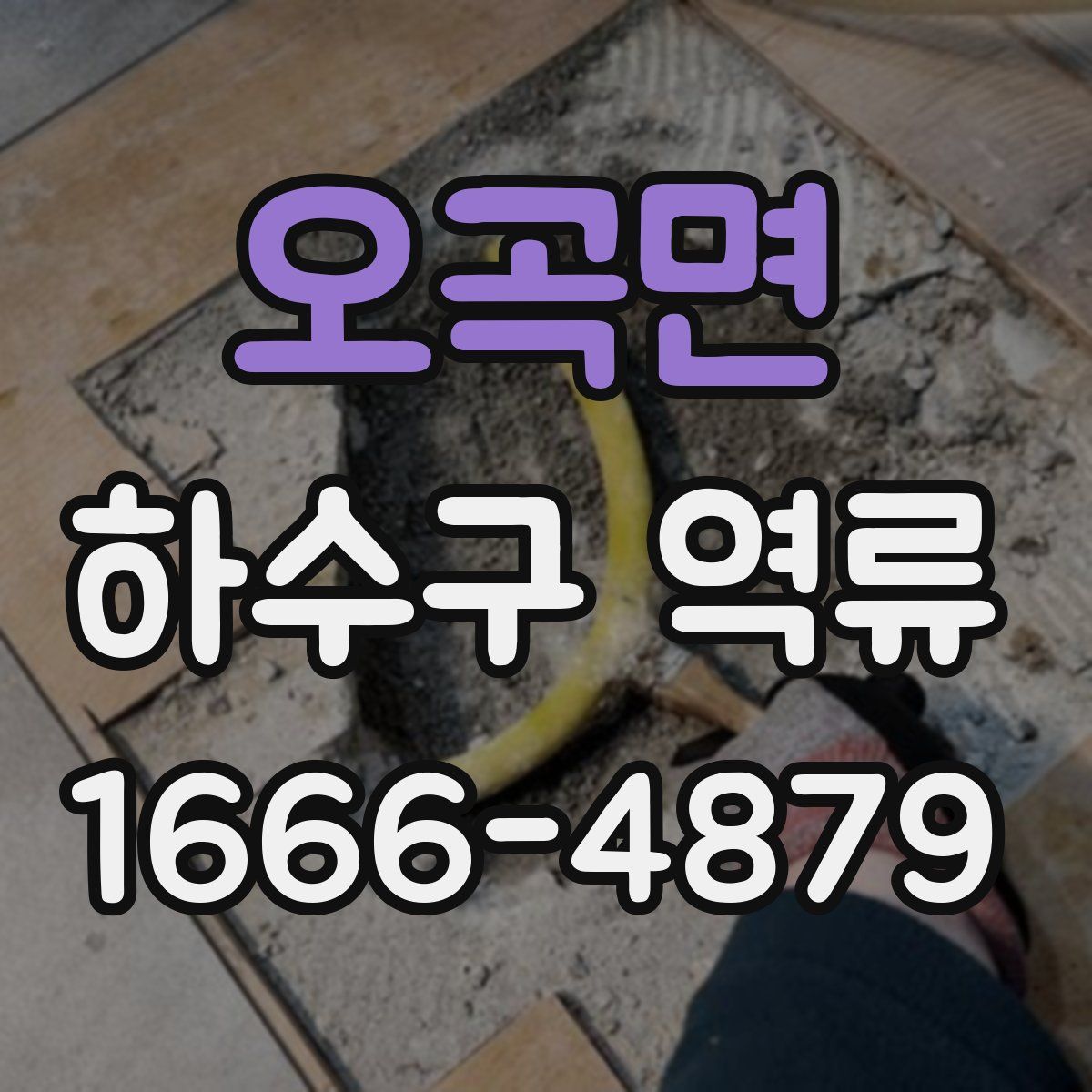 오곡면 하수구 역류
