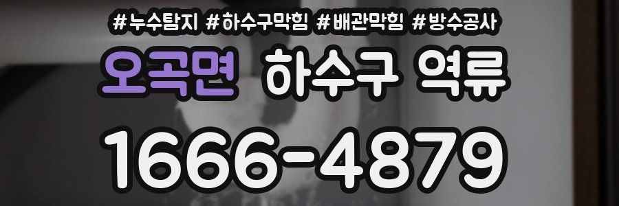 오곡면 하수구 역류